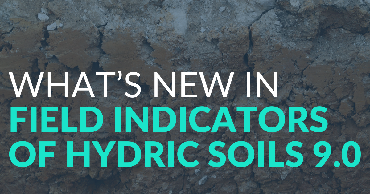 What’s New in Version 9.0 of the Field Indicators of Hydric Soils?